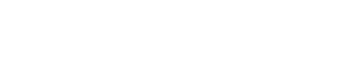 BAUKING